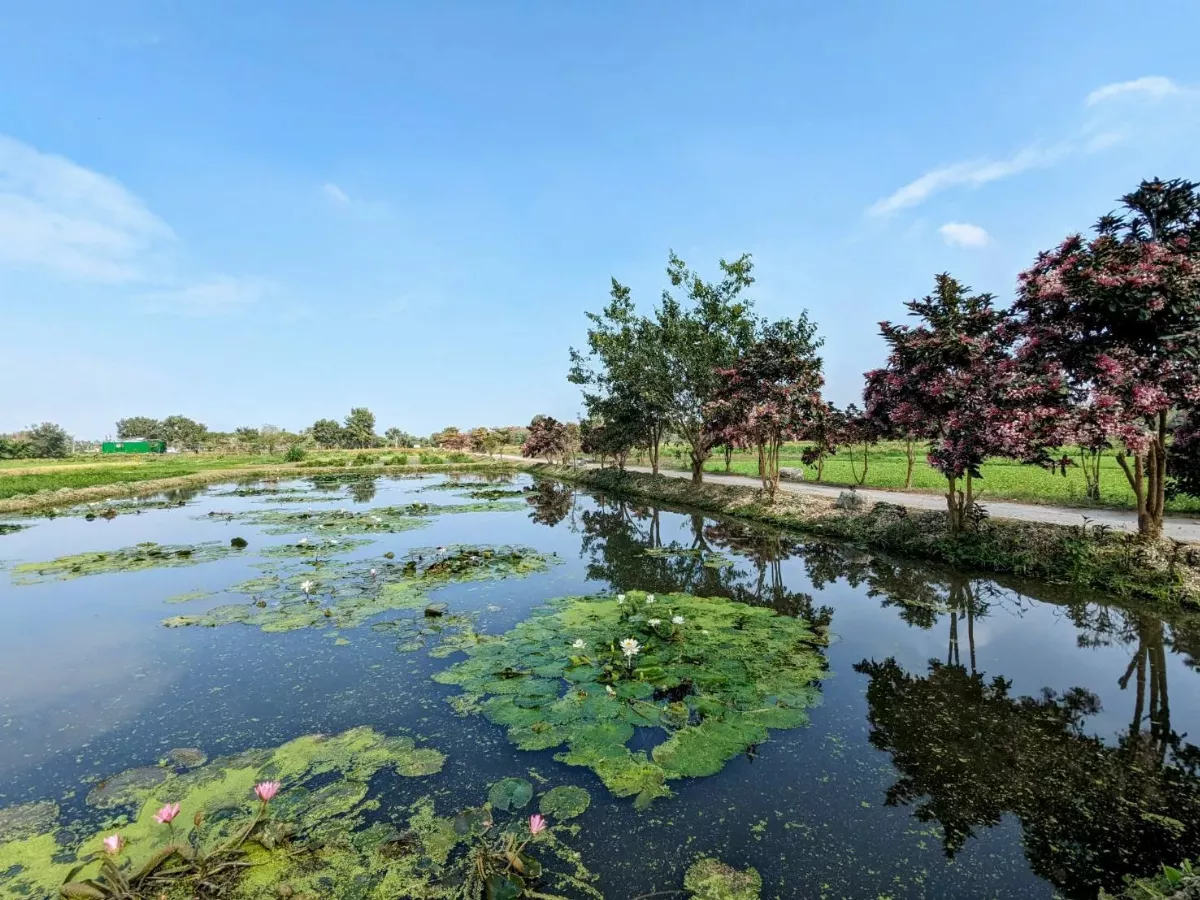 屏東萬年溼地群 水源可追溯至清朝