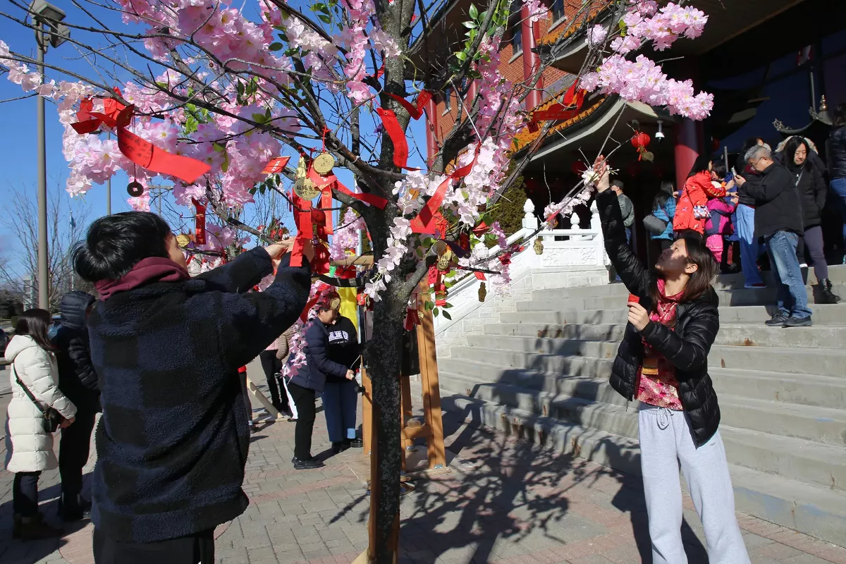 Over Ten Thousand Individuals Celebrate the Spring Festival at Fo Guang Shan Toronto