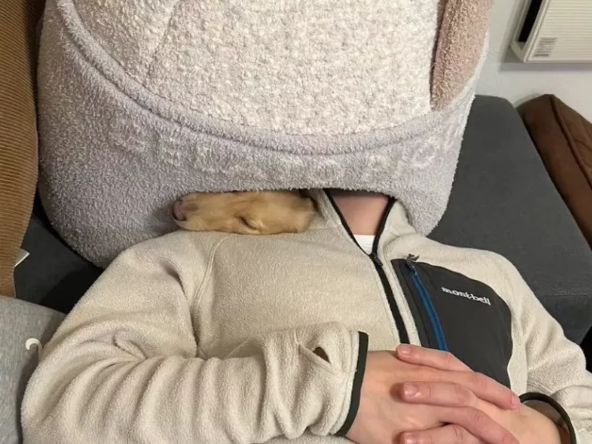 飼主頭塞狗帳篷小睡  汪星人也塞一起享受時光