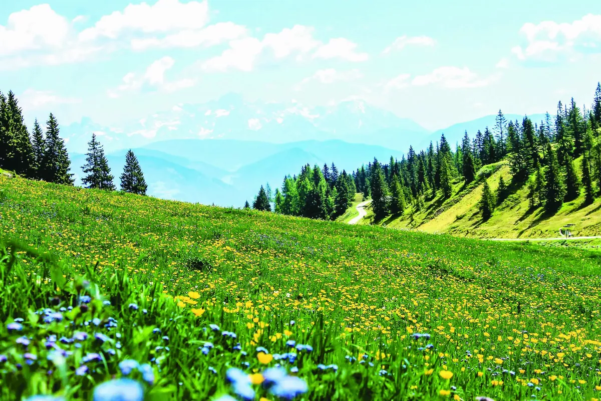 【隨堂開示錄─對談專訪】快樂修行4-2