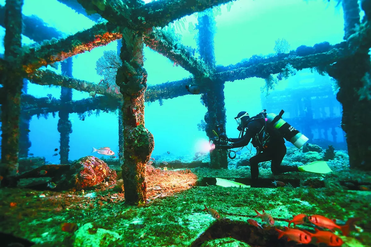 他潛水探沉船600次 記錄台灣海洋