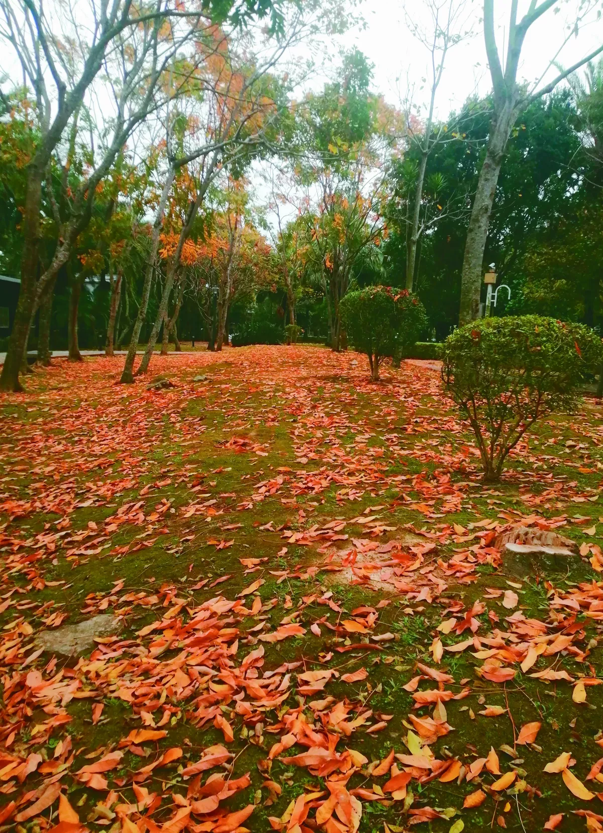 【生活快門】一種景萬般情