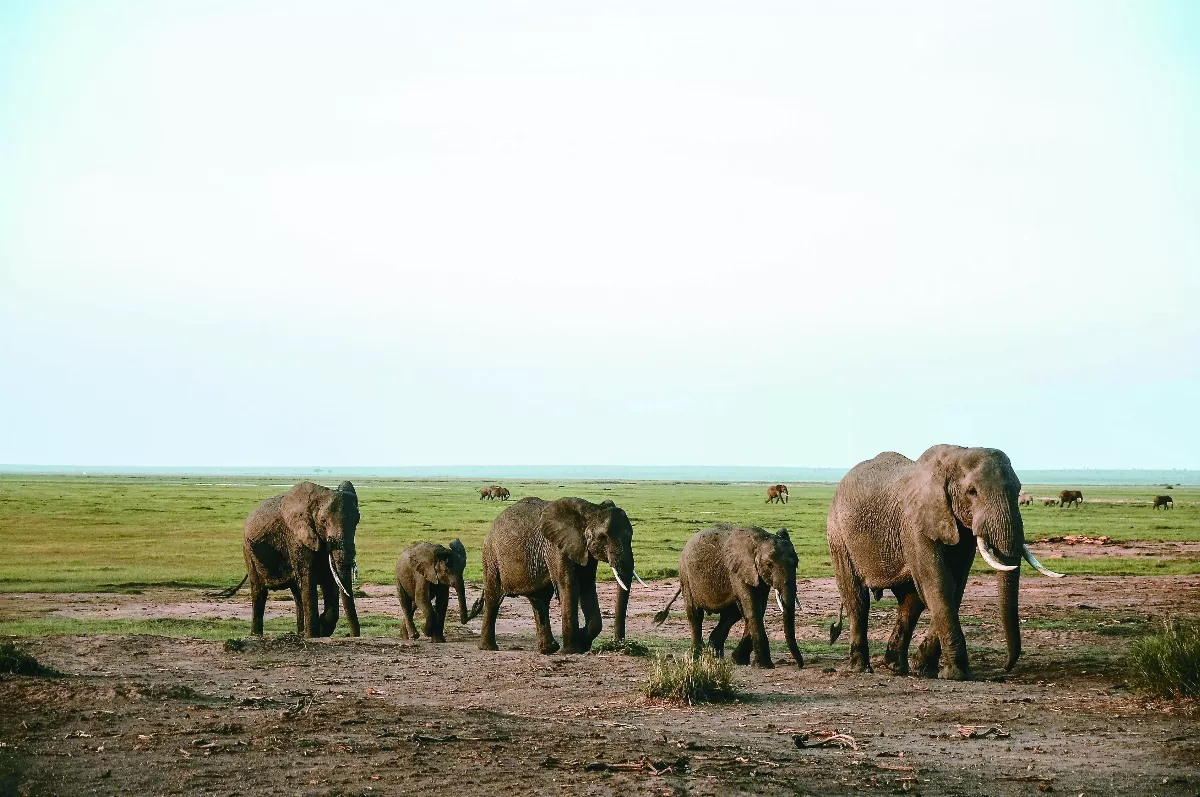 隨堂開示錄─各類致詞  放生與放死 2-1