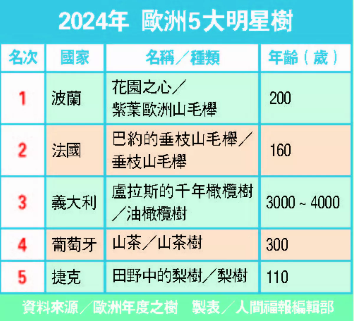 200歲山毛櫸 歐洲年度樹王