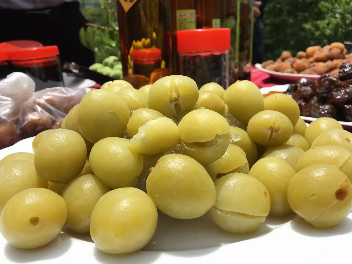 脆梅酸甜好滋味 助消化、解疲勞