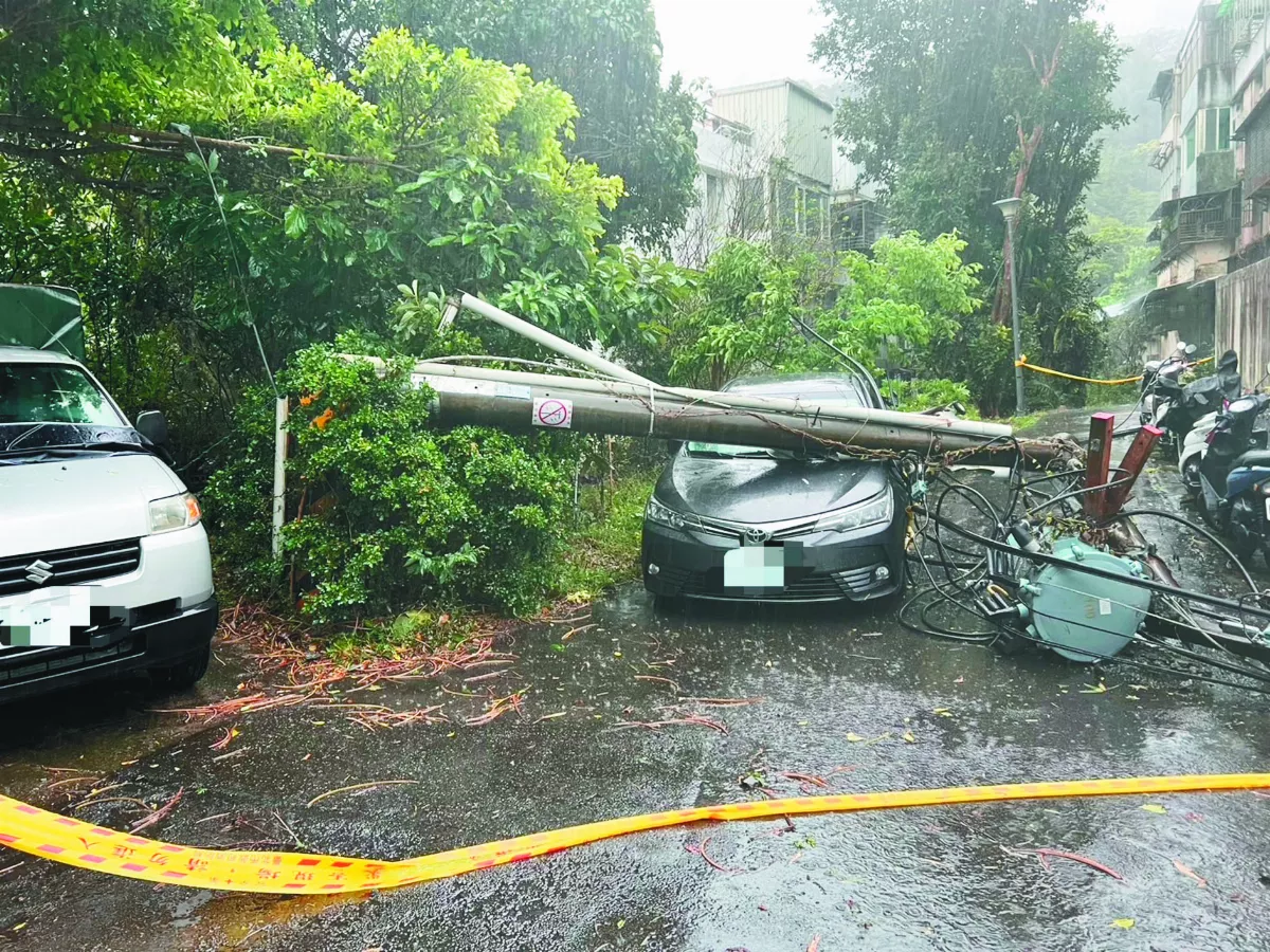 雷雨襲全台 樹倒停電、航班轉降