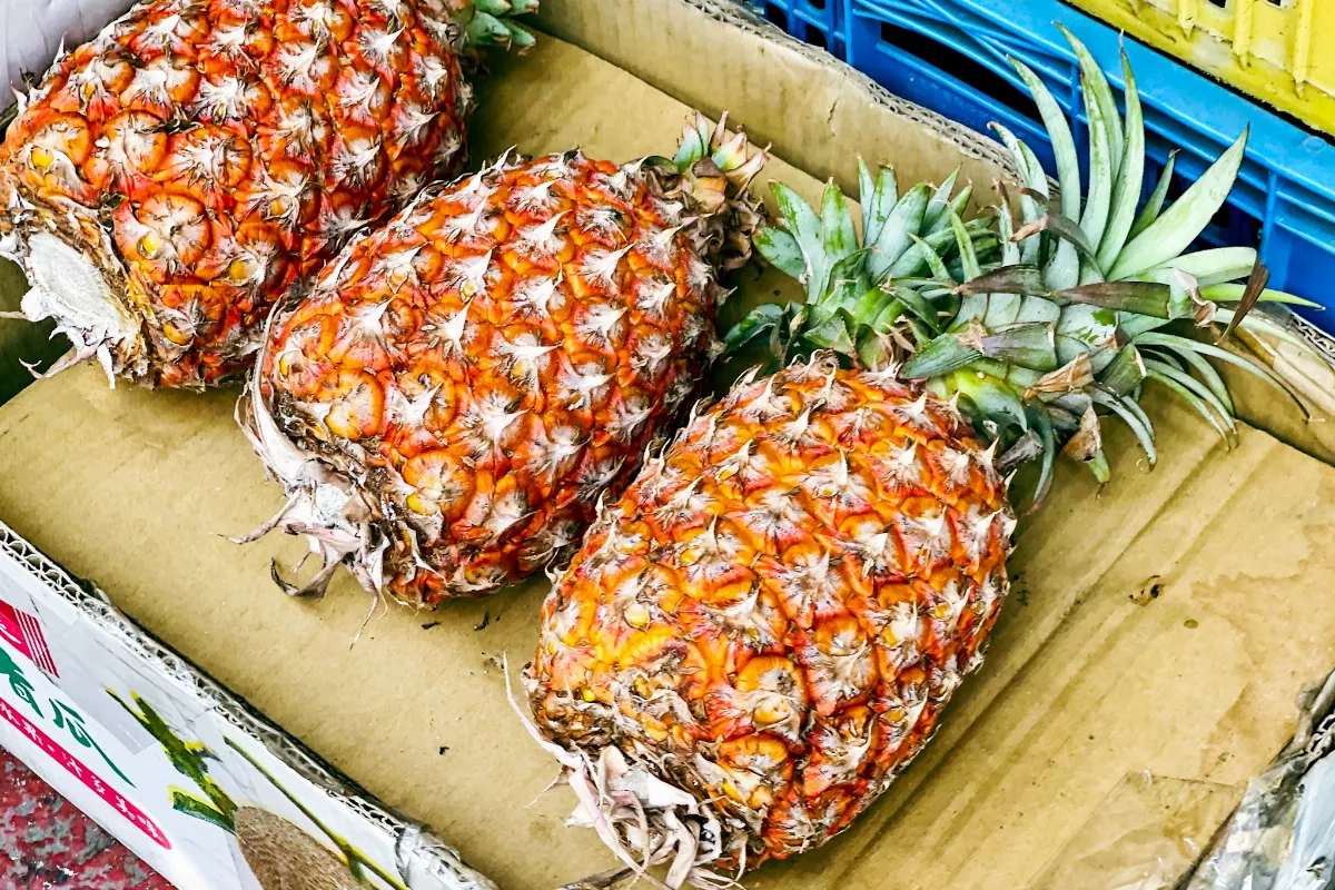 鳳梨產量較去年略減4% 農糧署：嚴格控管不會有黑心