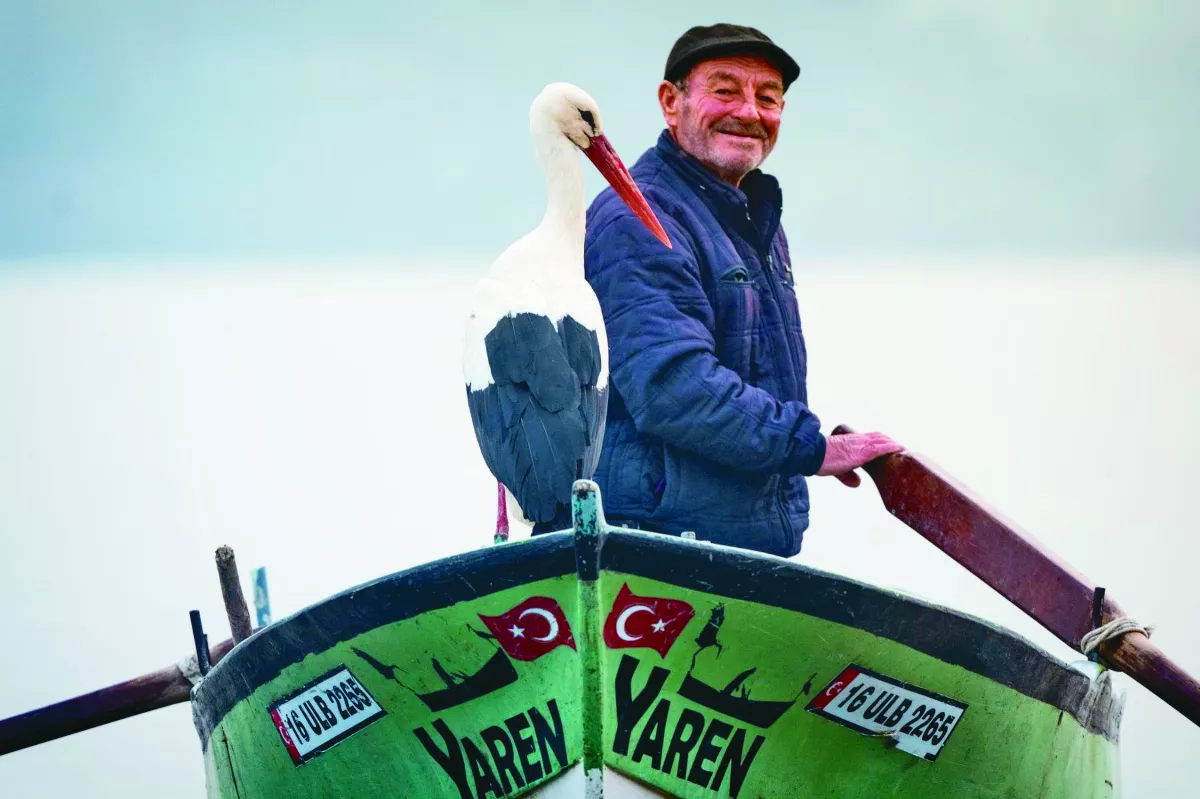 一年一聚 人鳥相會13年不中斷