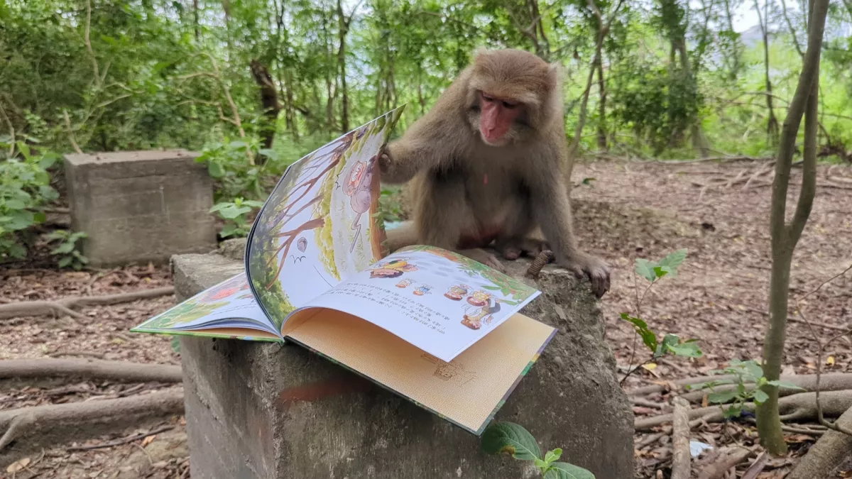 用同理心關懷　《小彌的奇幻之旅》盼減少人猴衝突
