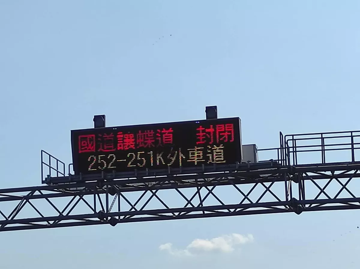 今年第6次國道讓蝶 紫斑蝶遷徙今再破紀錄