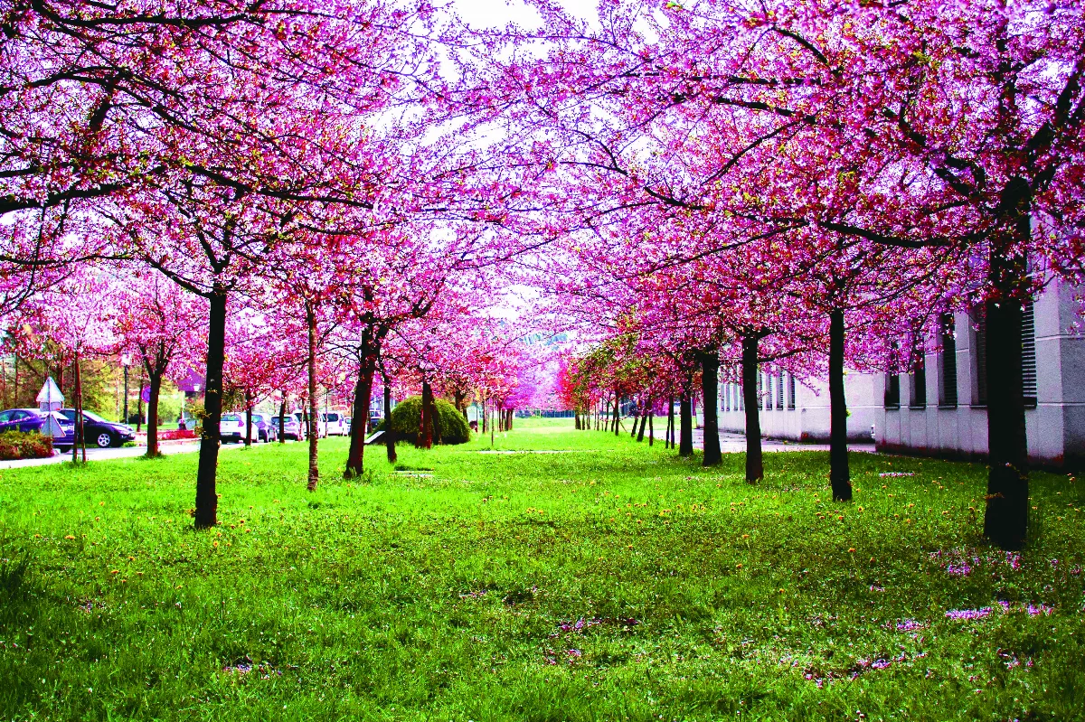 隨堂開示錄─對談專訪 當代社會需要的人文關懷 3-3