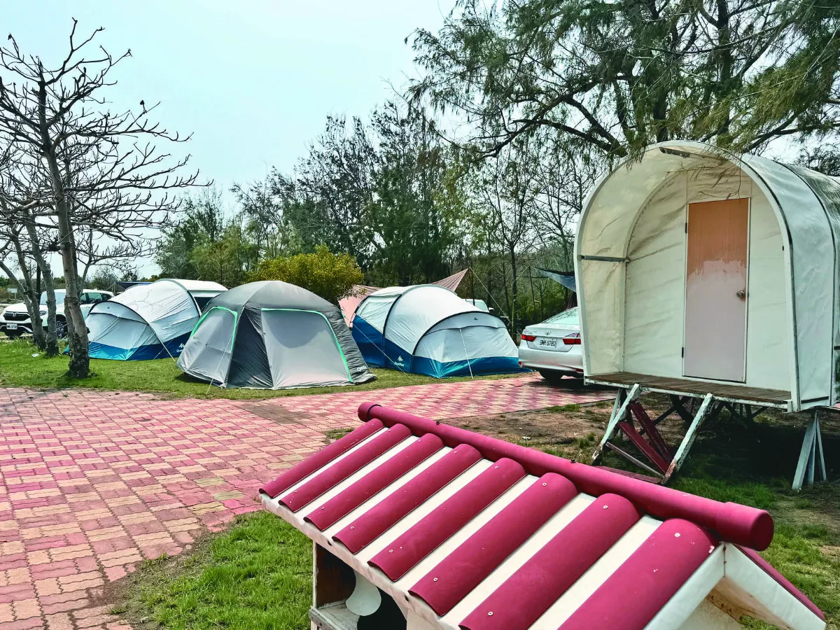震後避上山 台南平地露營區業績好