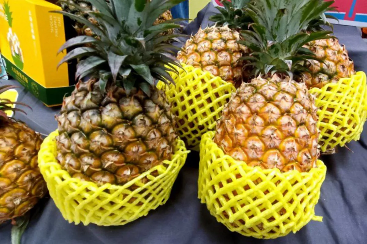 台灣鳳梨外銷國突破 即日起可輸往紐西蘭