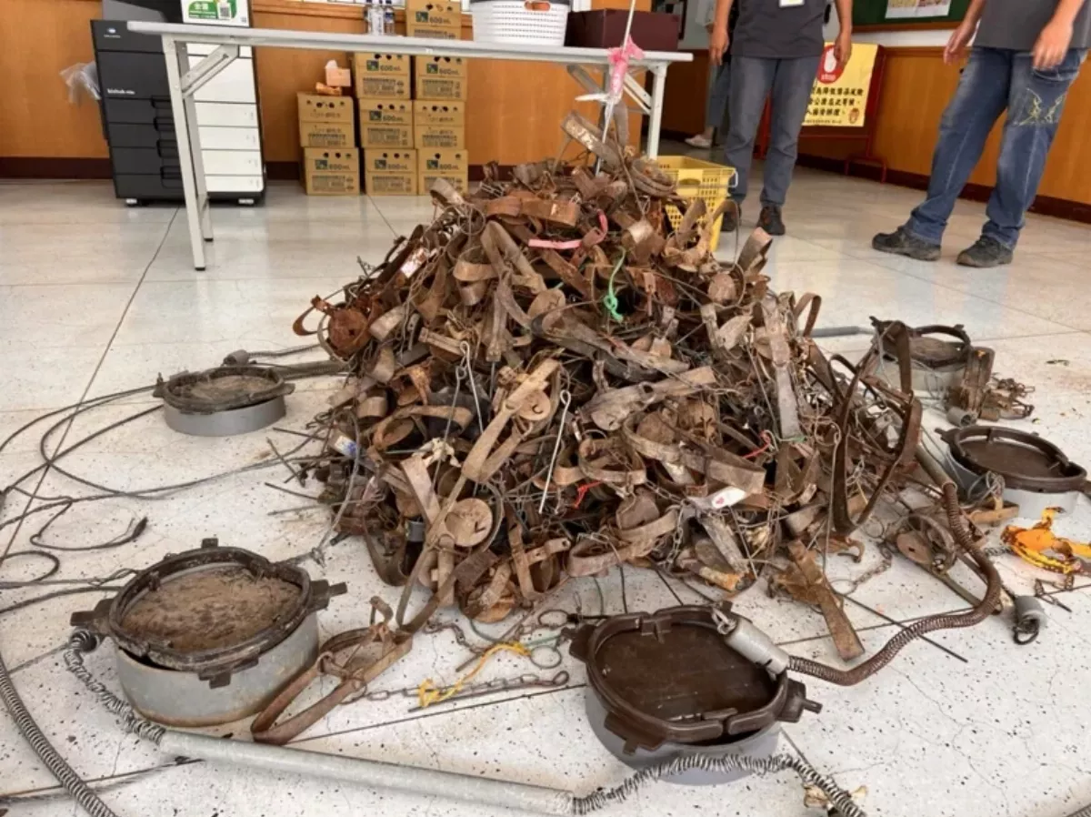 立院本周四審議野保法 動保團體籲法規納管山豬吊