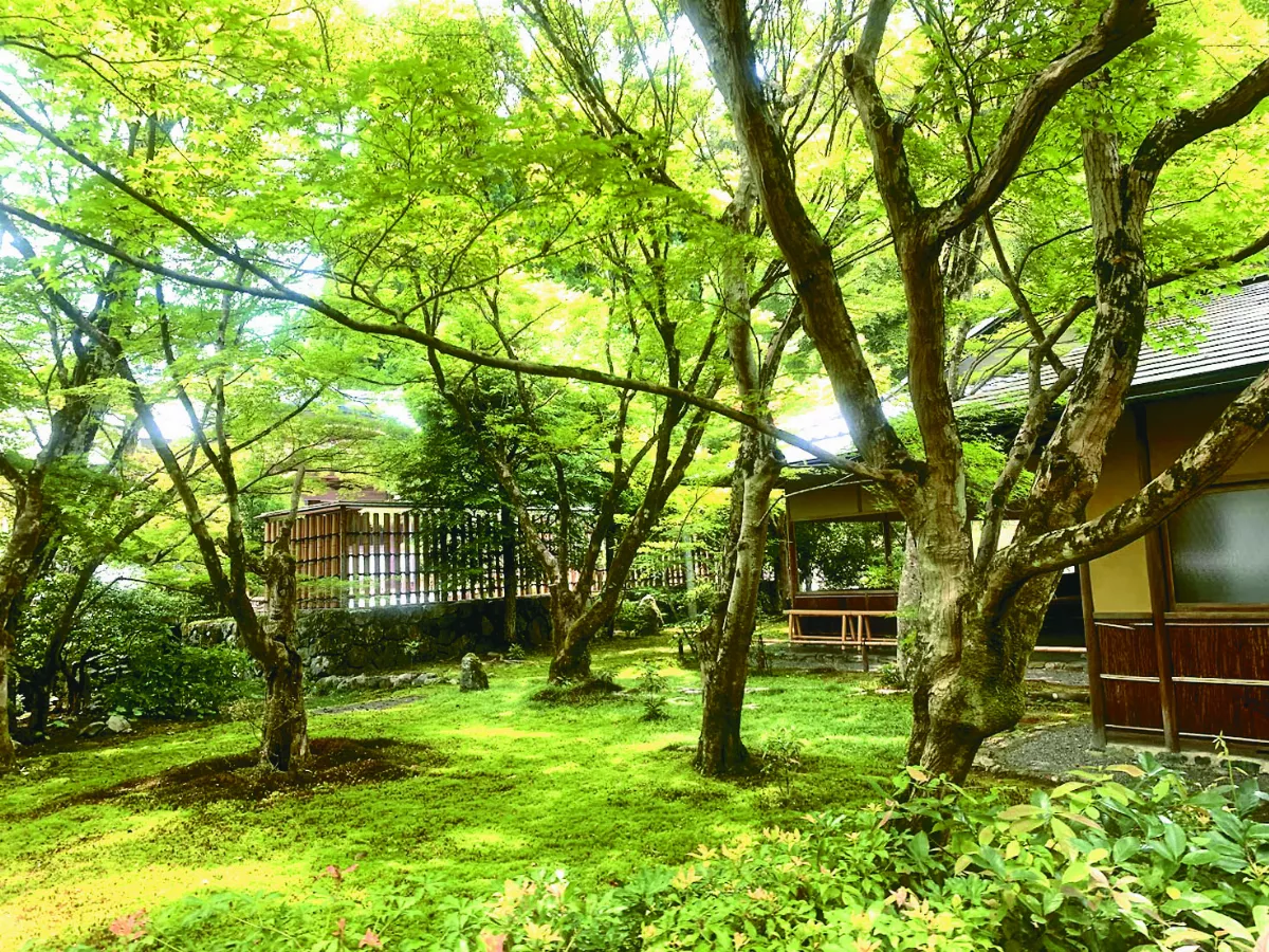 【慢活京都】西芳寺抄經