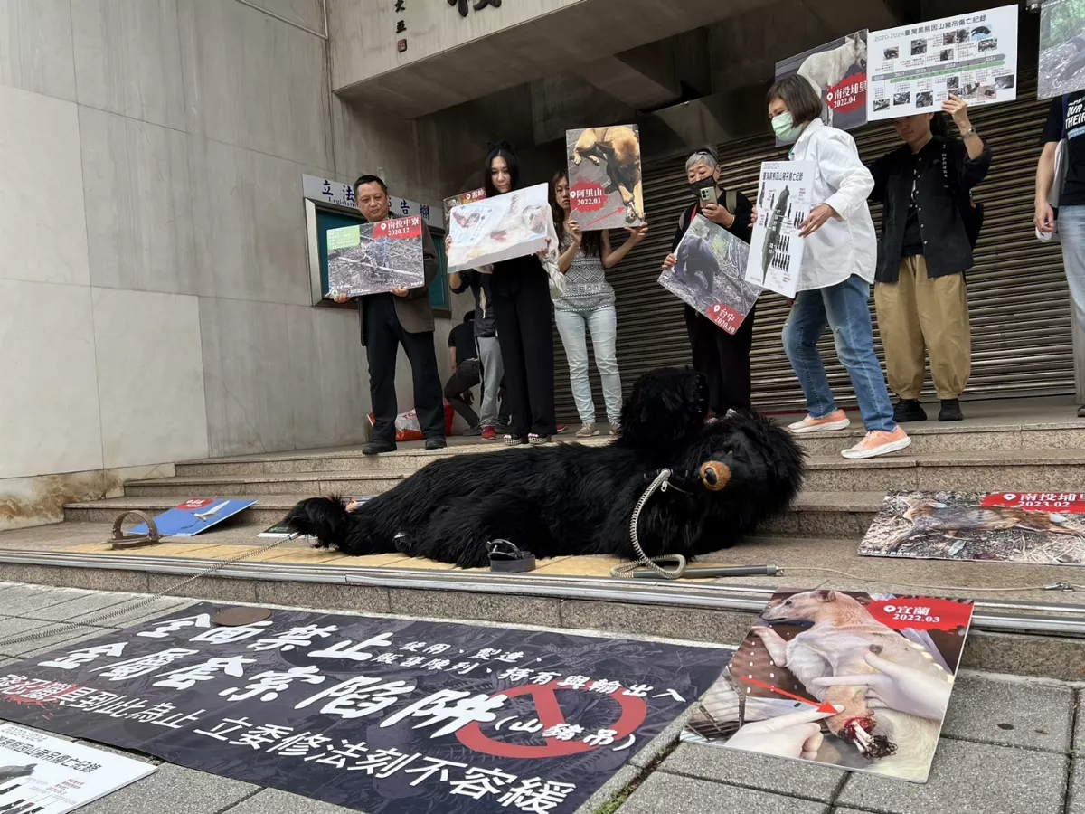 立法院今審野生動物保育法 禁獸夾兼顧原民文化