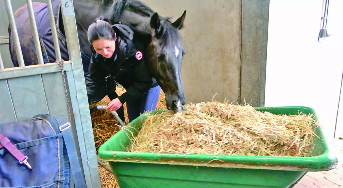 亞運馬術銅牌 樂當馬場農婦