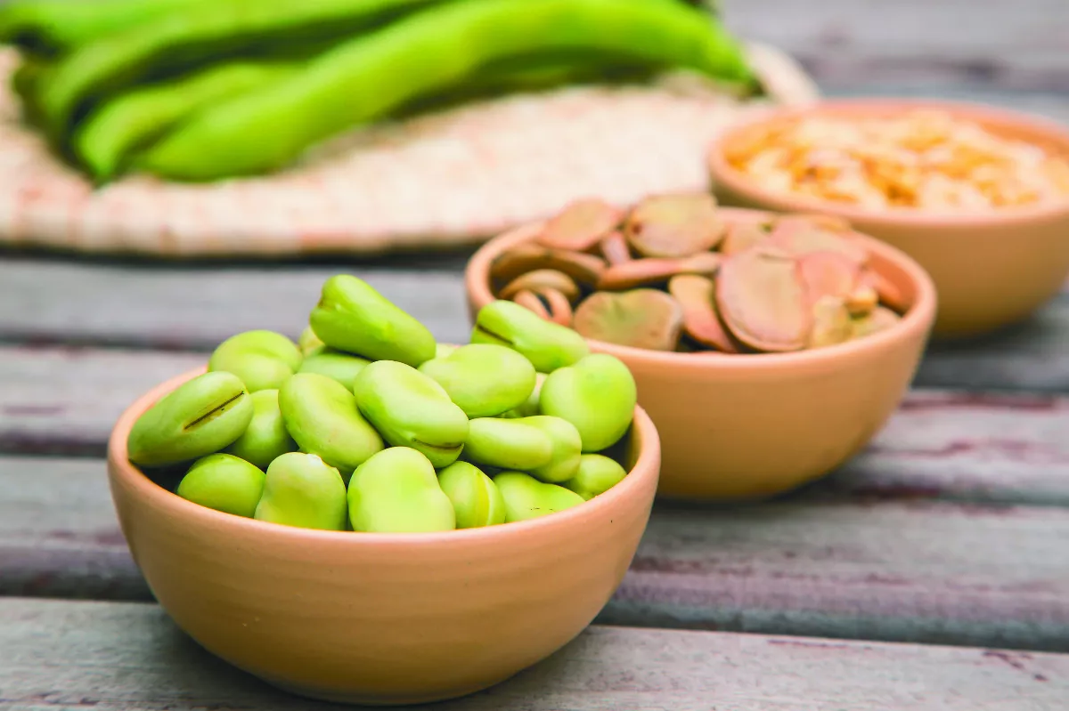 早餐吃植物性蛋白質 營養健康打造好氣色