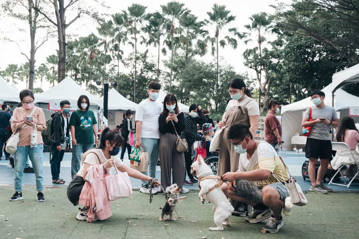 寵物嘉年華　帶毛孩搭開頂雙層巴士、新奇體驗趣