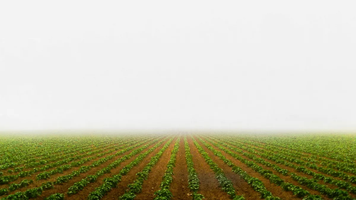 星雲禪話：因有才借