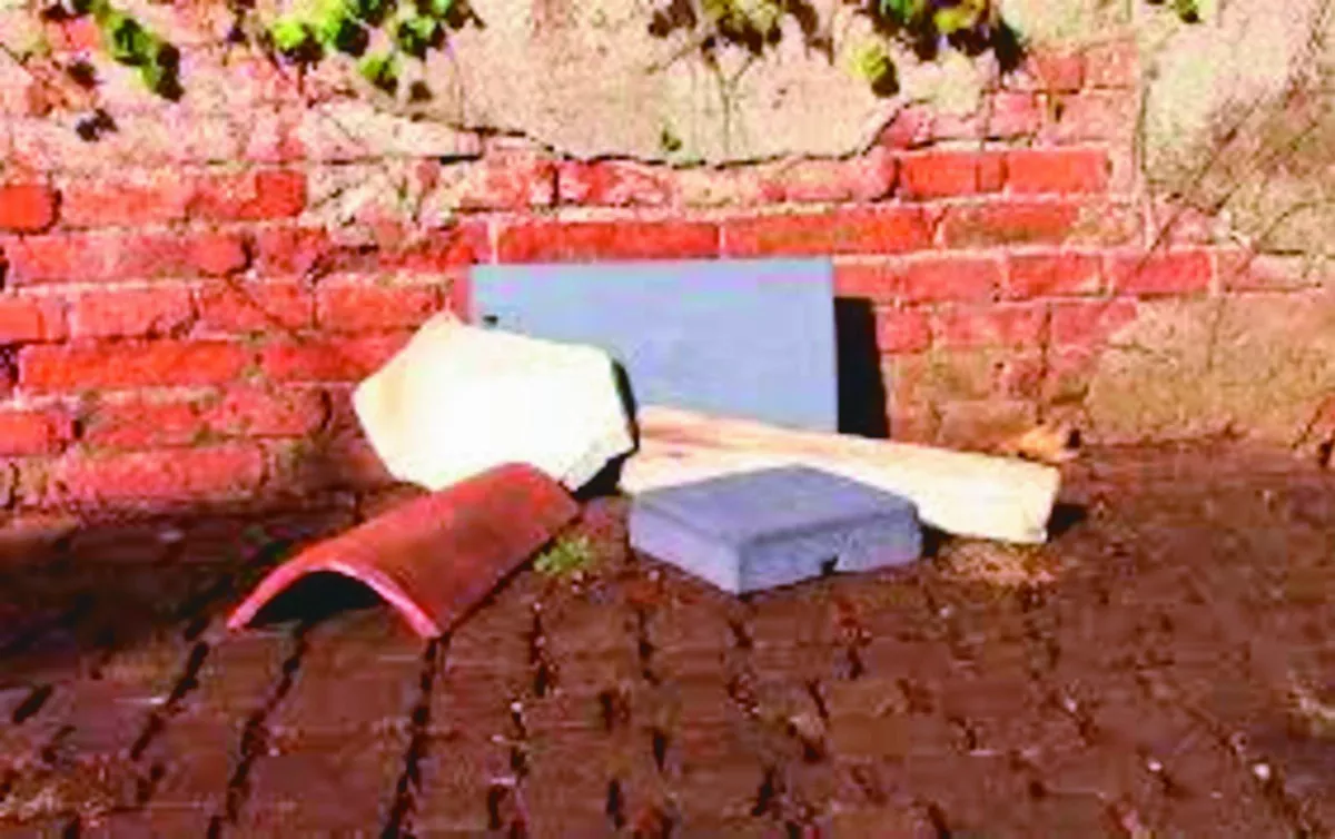 古蹟瘋種電 考驗美感保存 