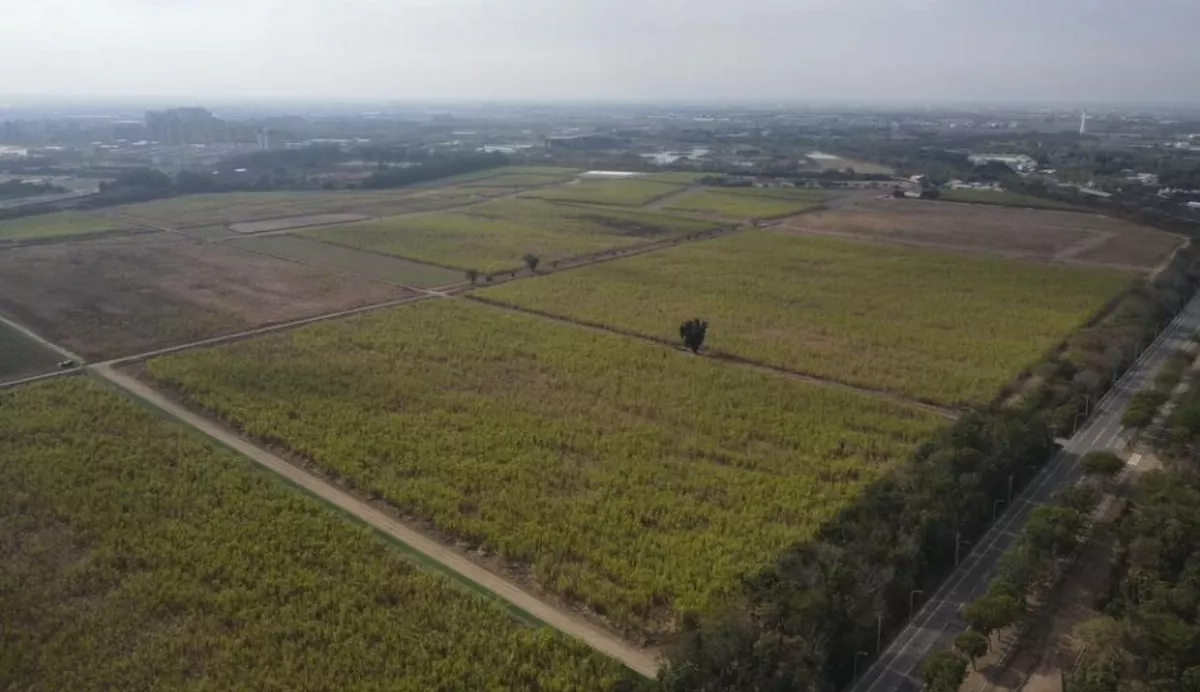 台糖提供社會住宅土地逾萬戶 以租代售配合政府需求