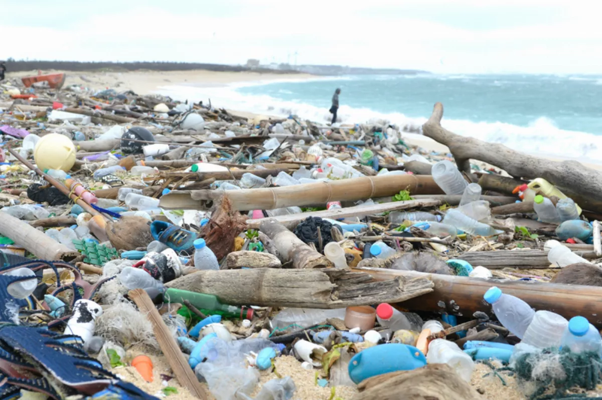 調查近9成台灣民眾同意減塑 環團：盼政府追上民間意識