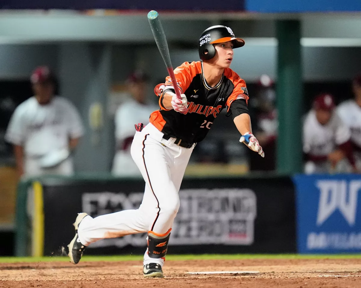 中職／林佳緯生涯首轟 猛獅13戰11勝破紀錄