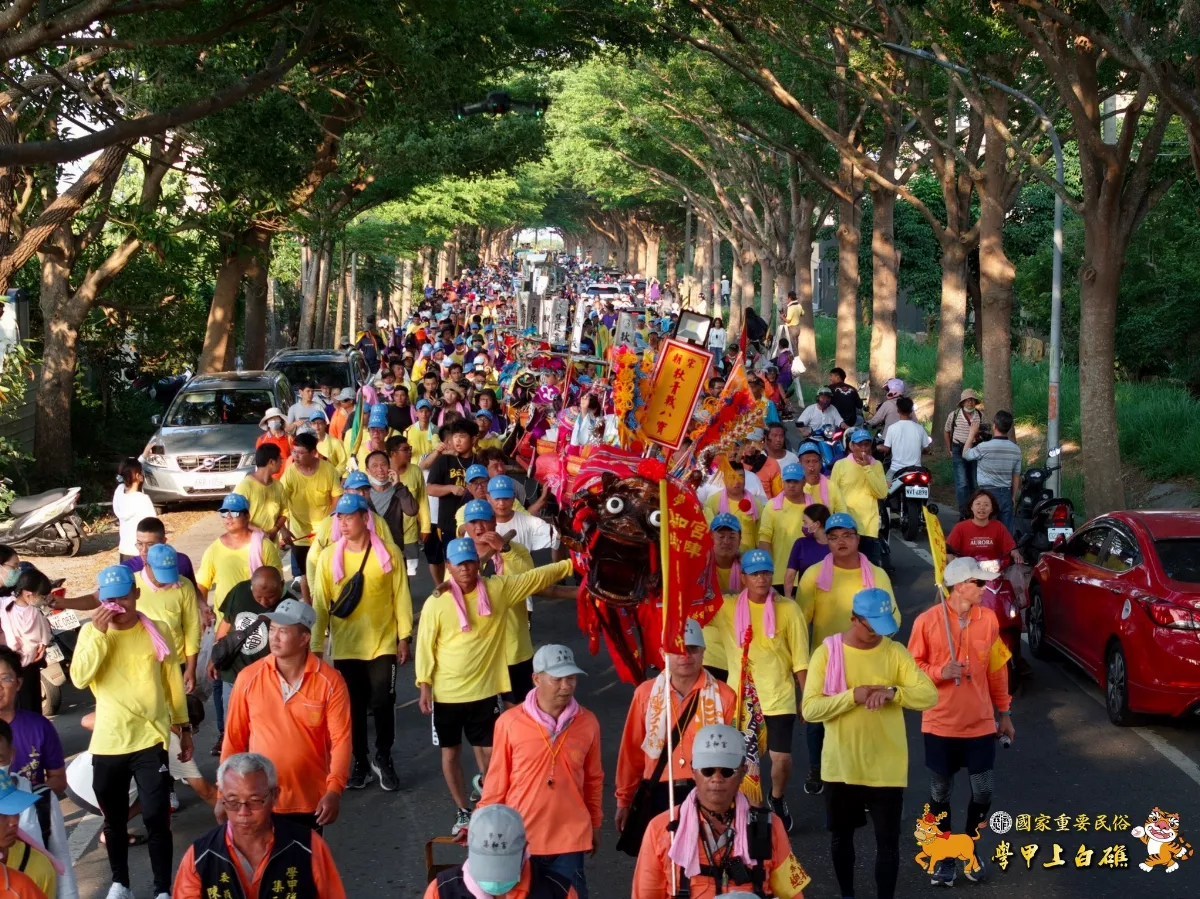 學甲上白礁祭典 人力蜈蚣陣登場