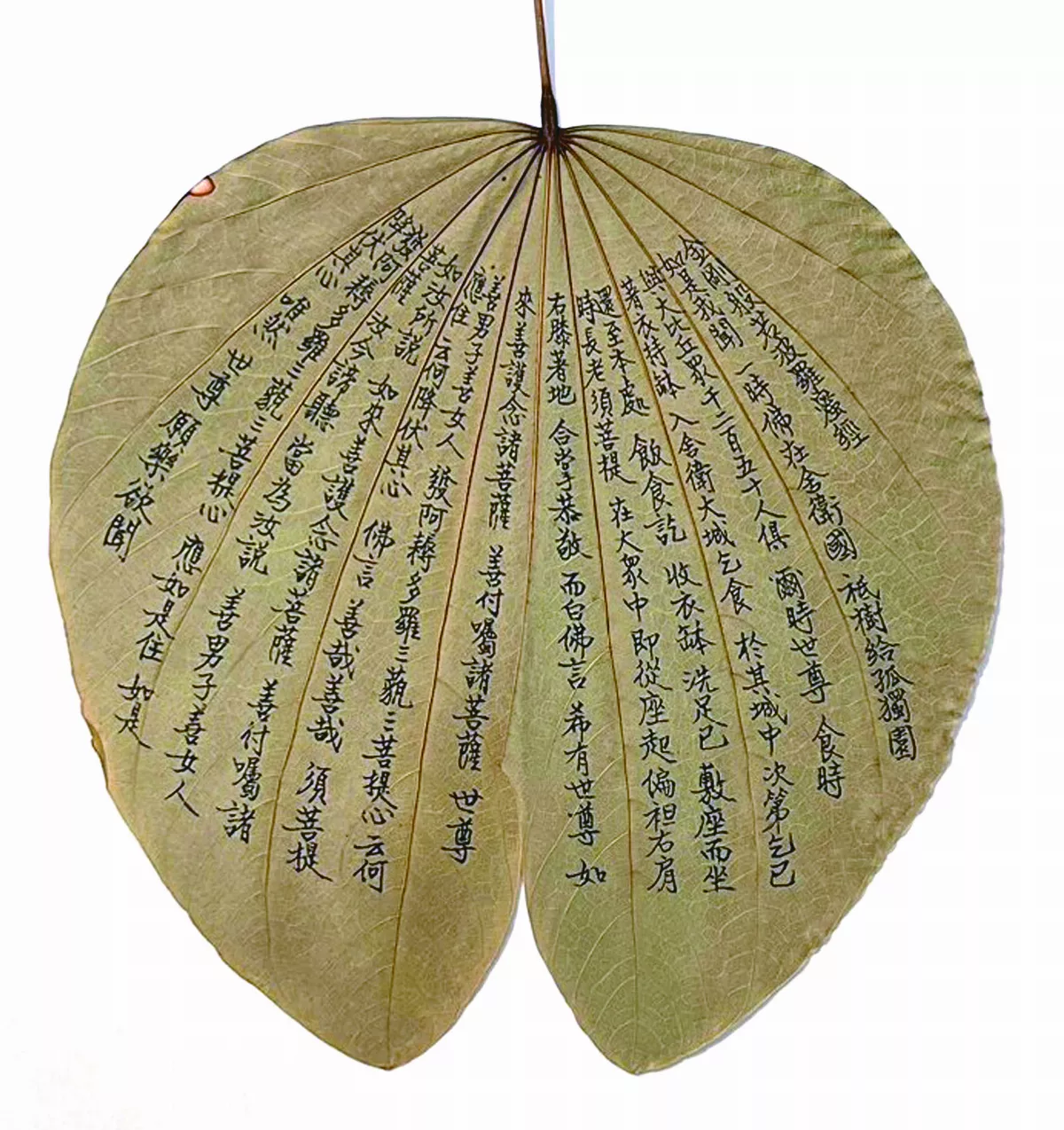 【風調雨順——慶祝2024國定佛誕節特展】逾城出家相