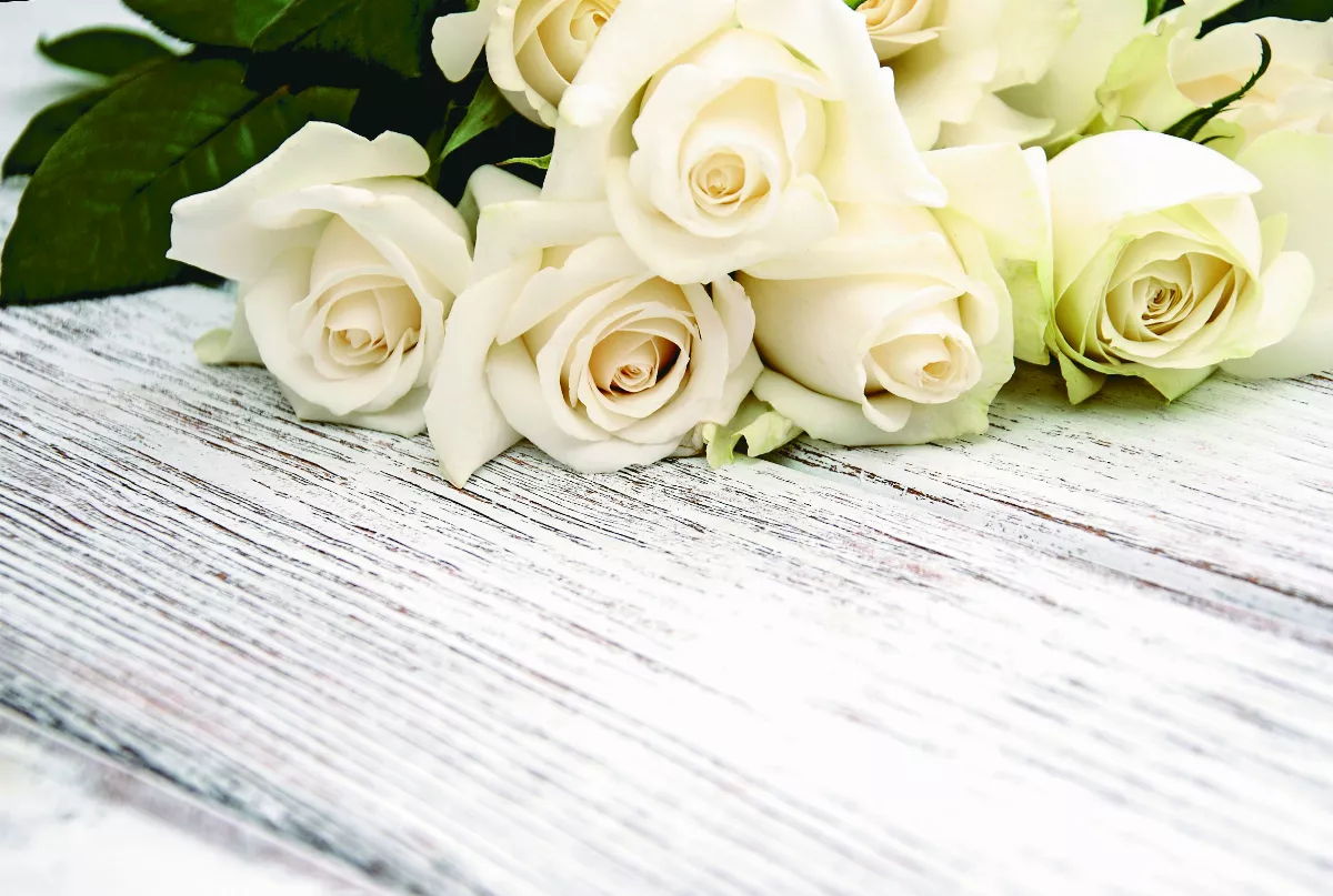 【悅讀人生】懷念故友