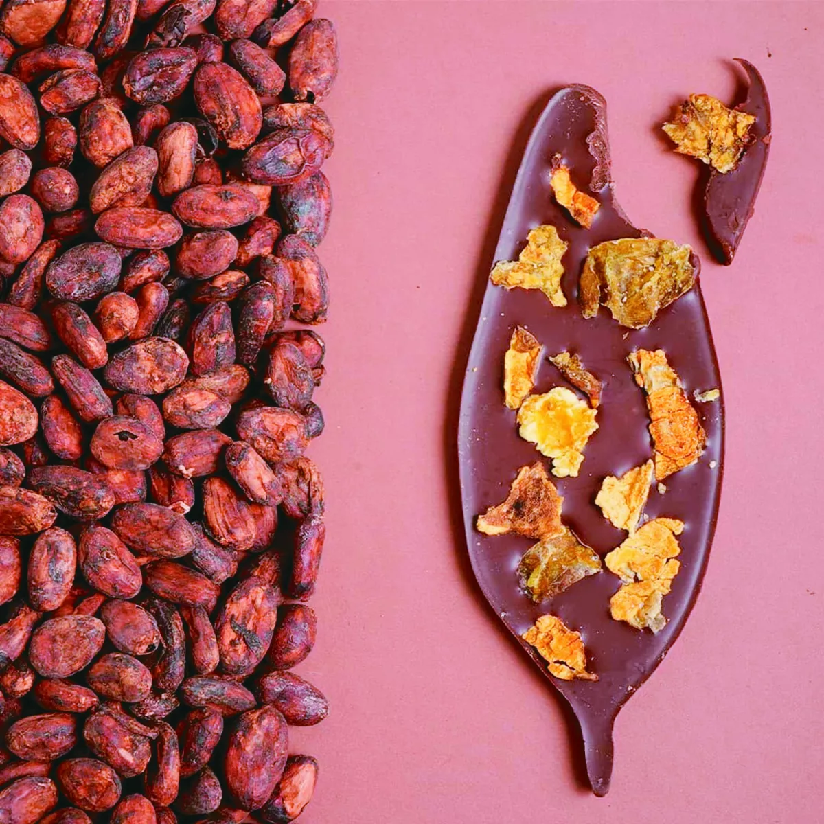 剩食變佳餚 翻轉窮人餐桌