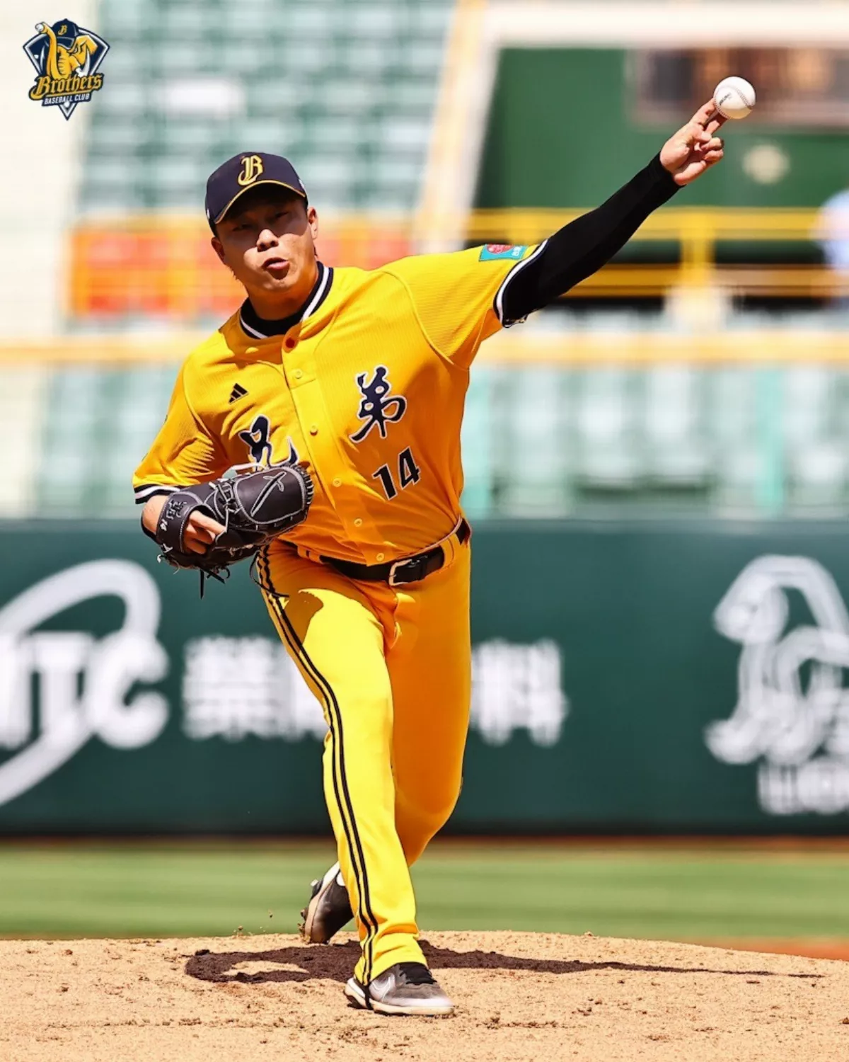 中職／魏碩成生涯最佳一役 7局鎖鷹奪首勝