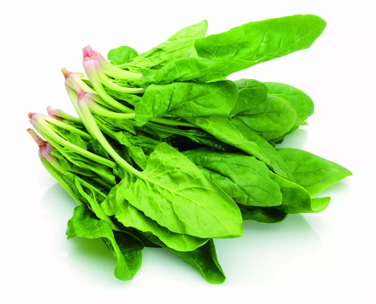 【當餐嘗鮮】食材二次加熱迷思