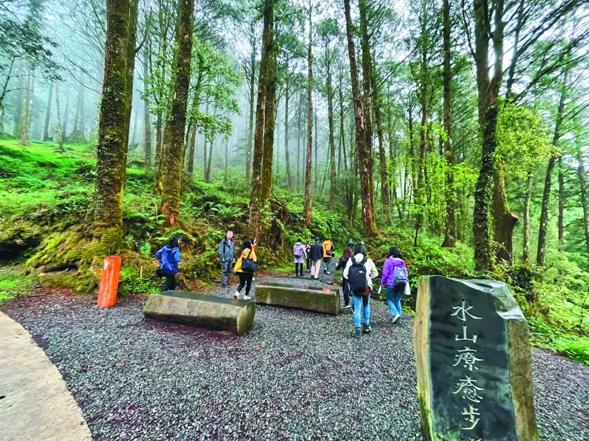 全台首條森林療癒步道