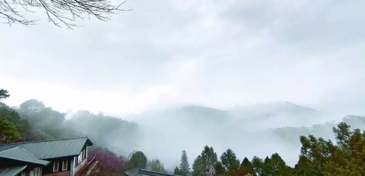 【山村生活】霧來去無聲 