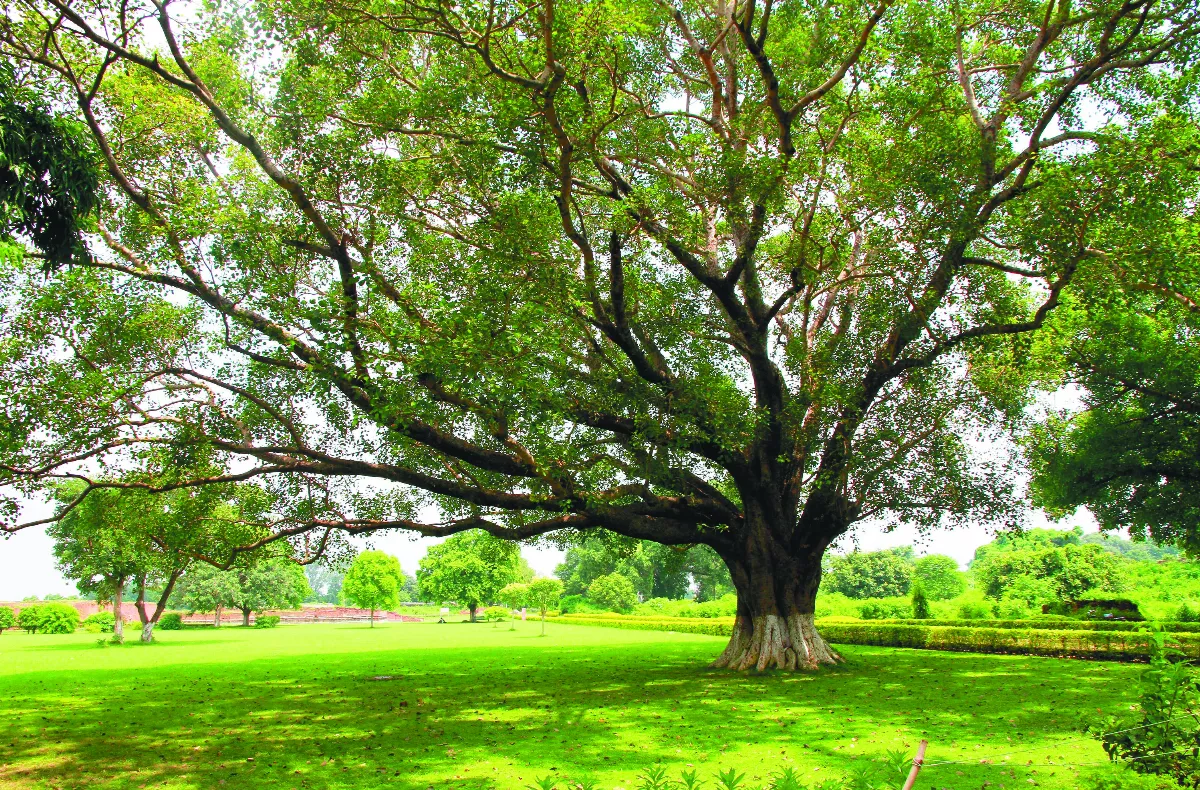 【隨堂開示錄─各類致詞、青年勉勵】三好校園