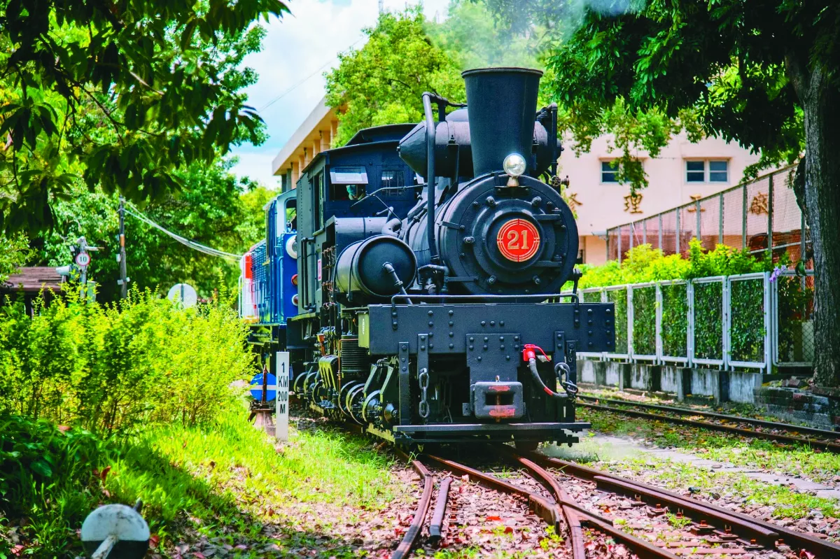 阿里山「黑頭仔車」復活 鐵道迷爭睹