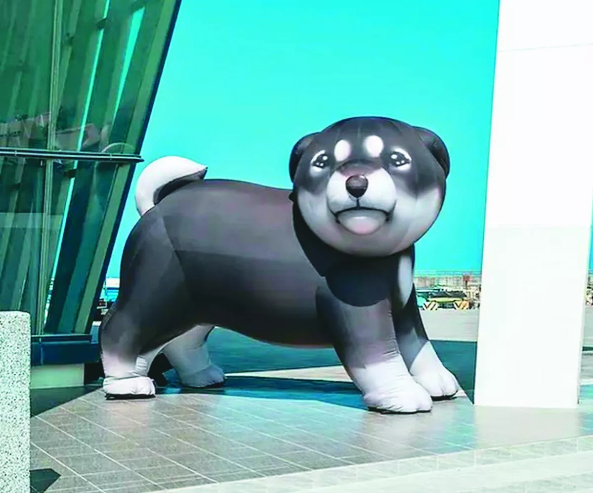 汪星人 喵星人 擁抱溫暖日常