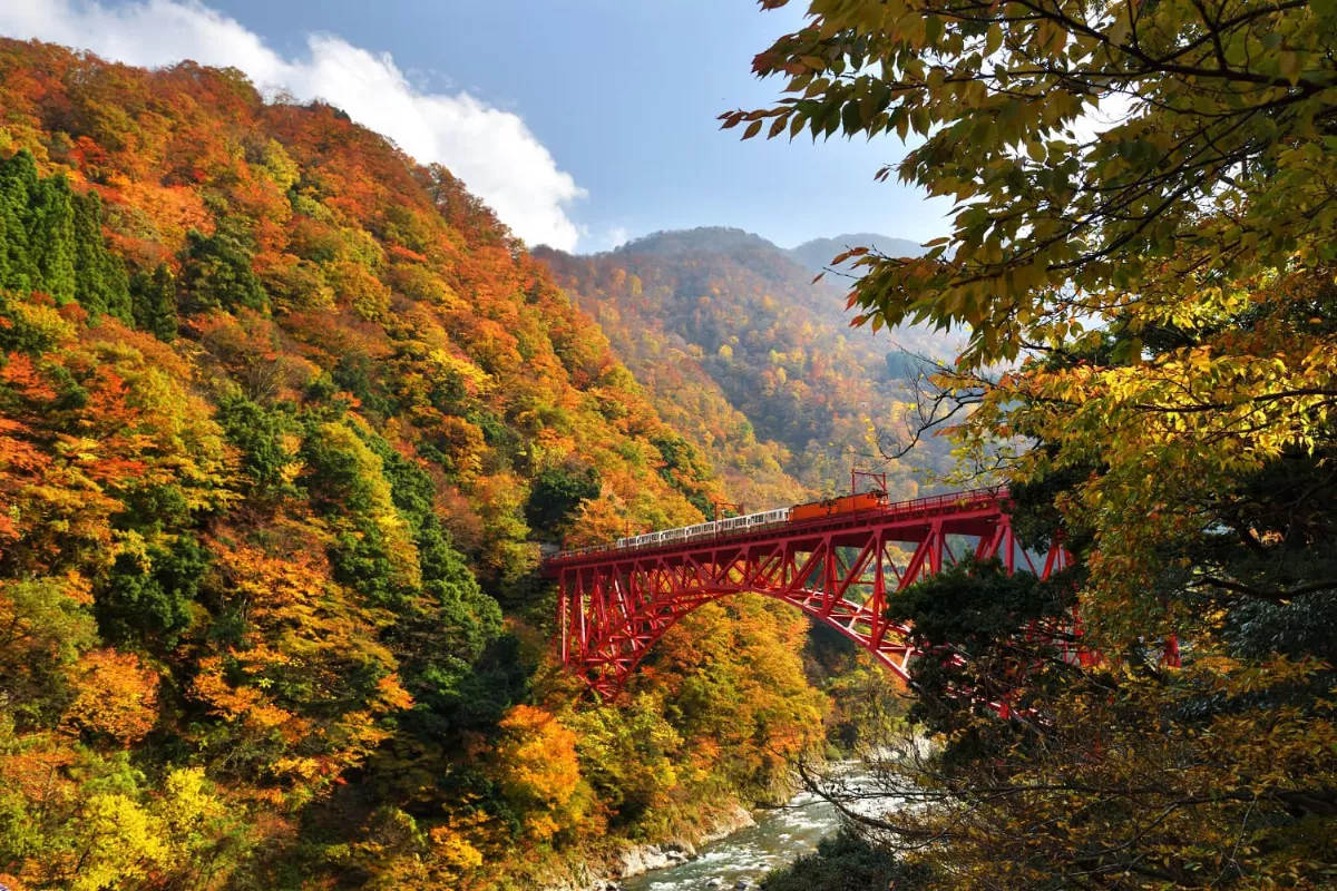 阿里山林鐵票根 免費搭日本黑部峽谷列車