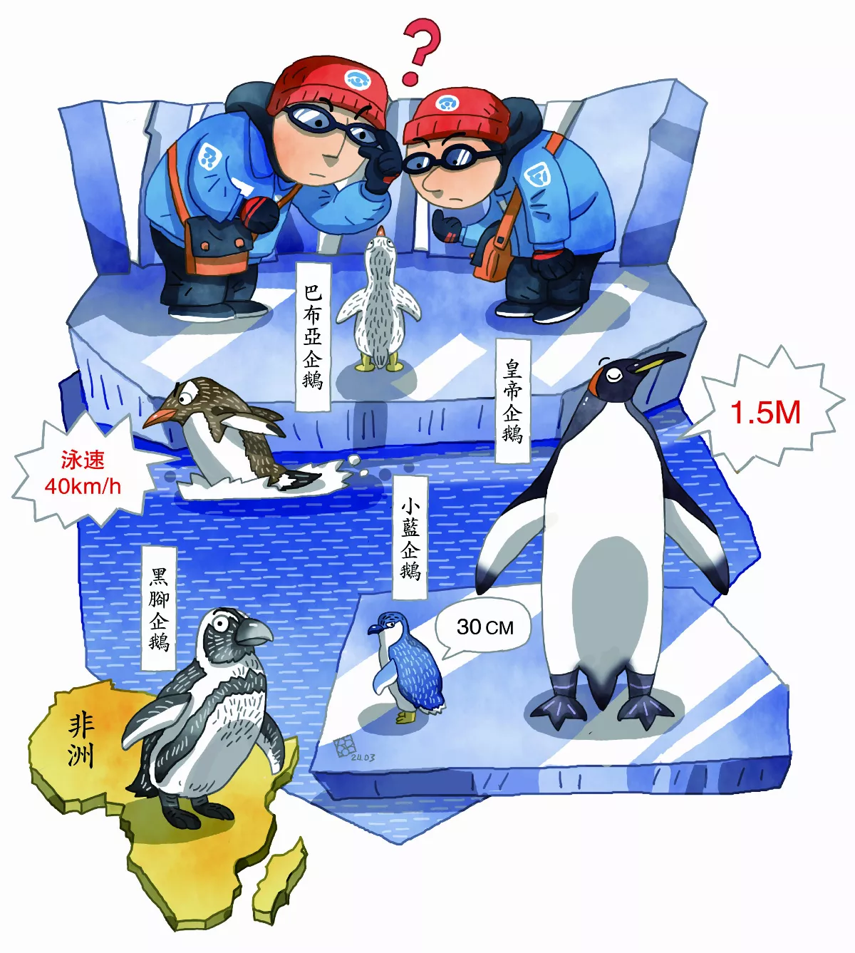 【企鵝日】談企鵝