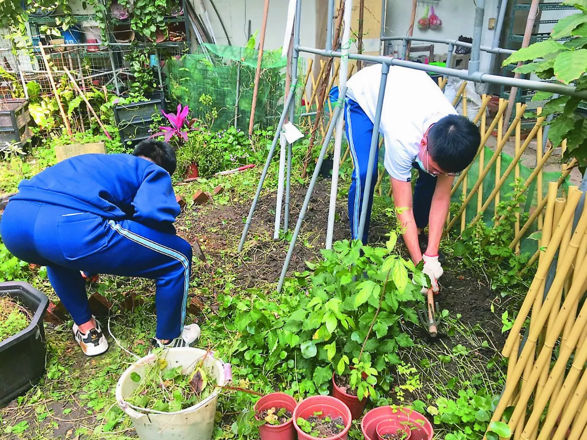 國際研討會明登場 園藝治療 推動綠色處方箋 