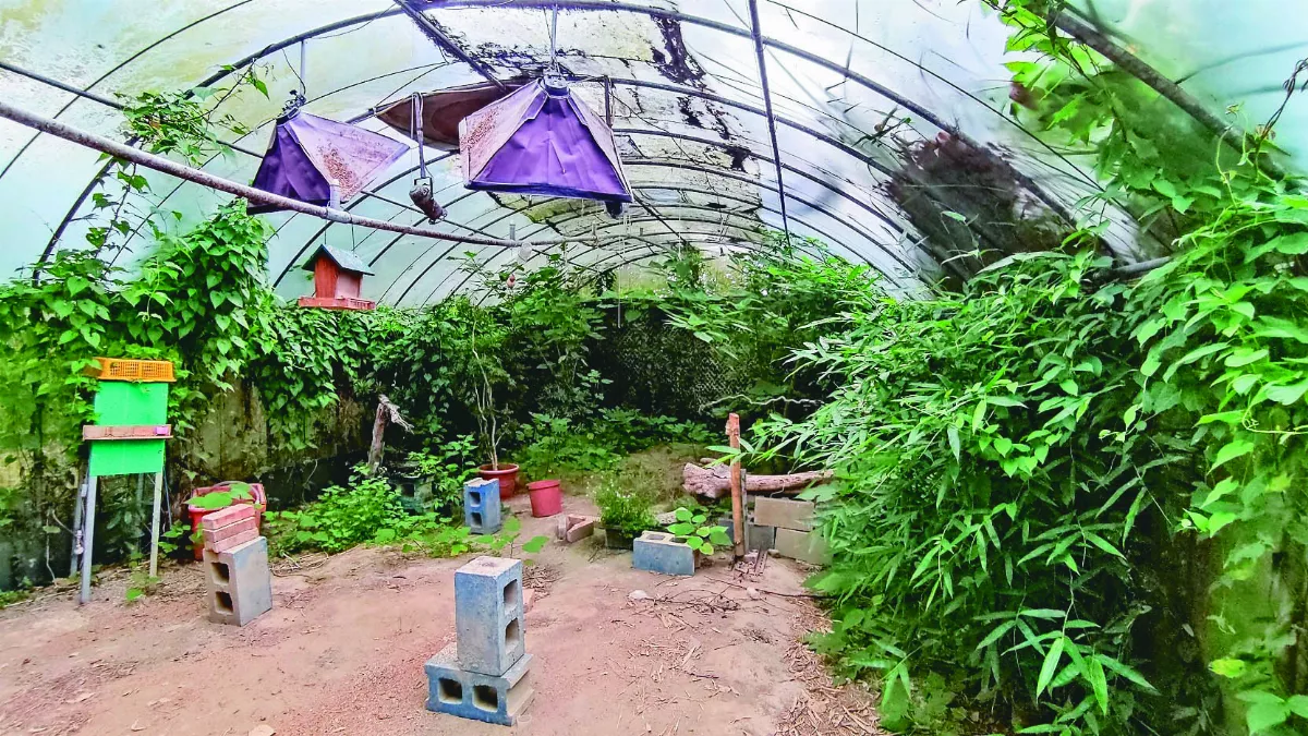 生態攝影 的歡喜和憂心
