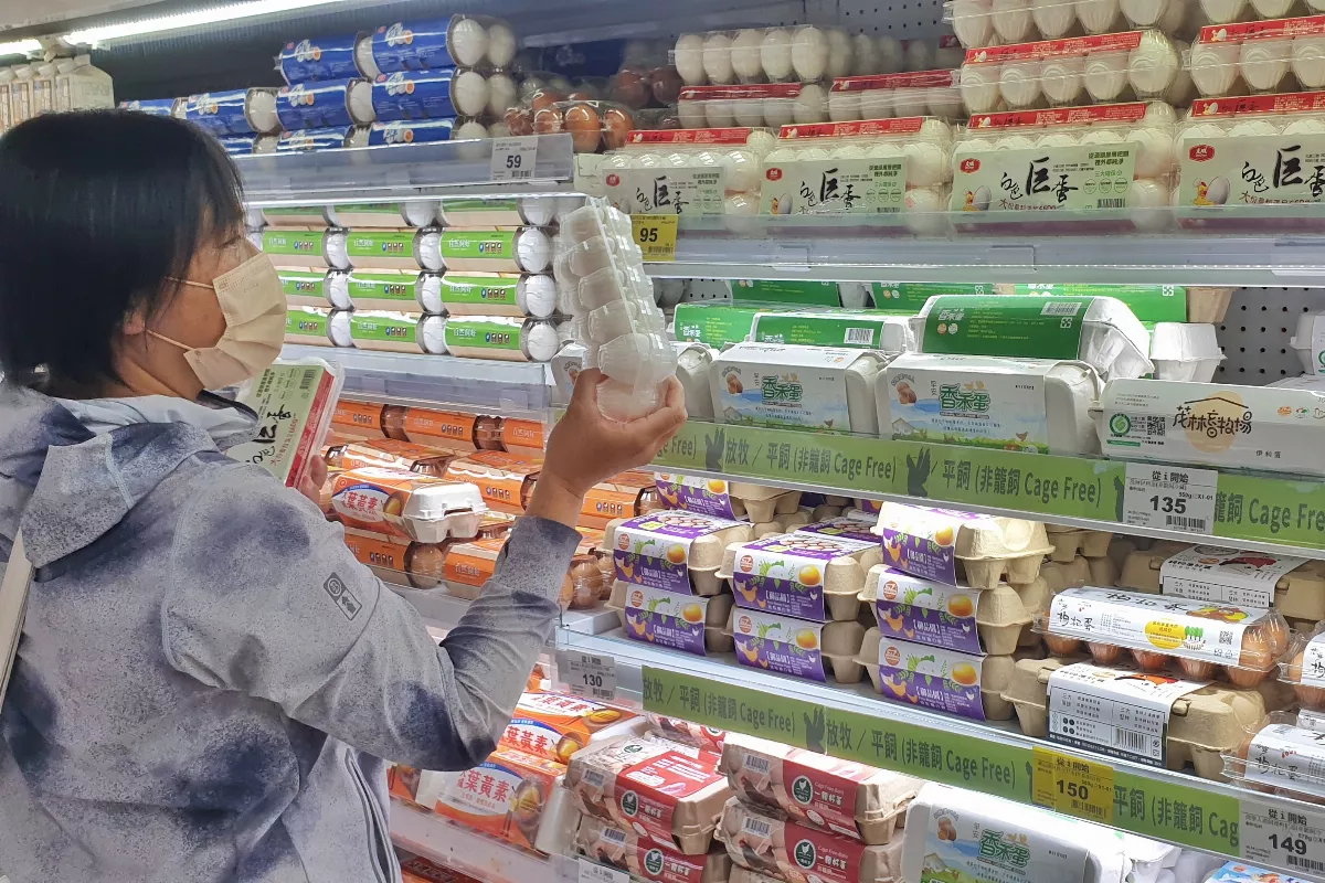 雞蛋買氣不如預期 產地價與批發價齊降2元