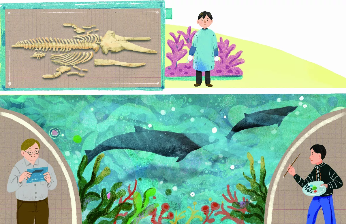 神祕海中鯨靈 朗氏喙鯨