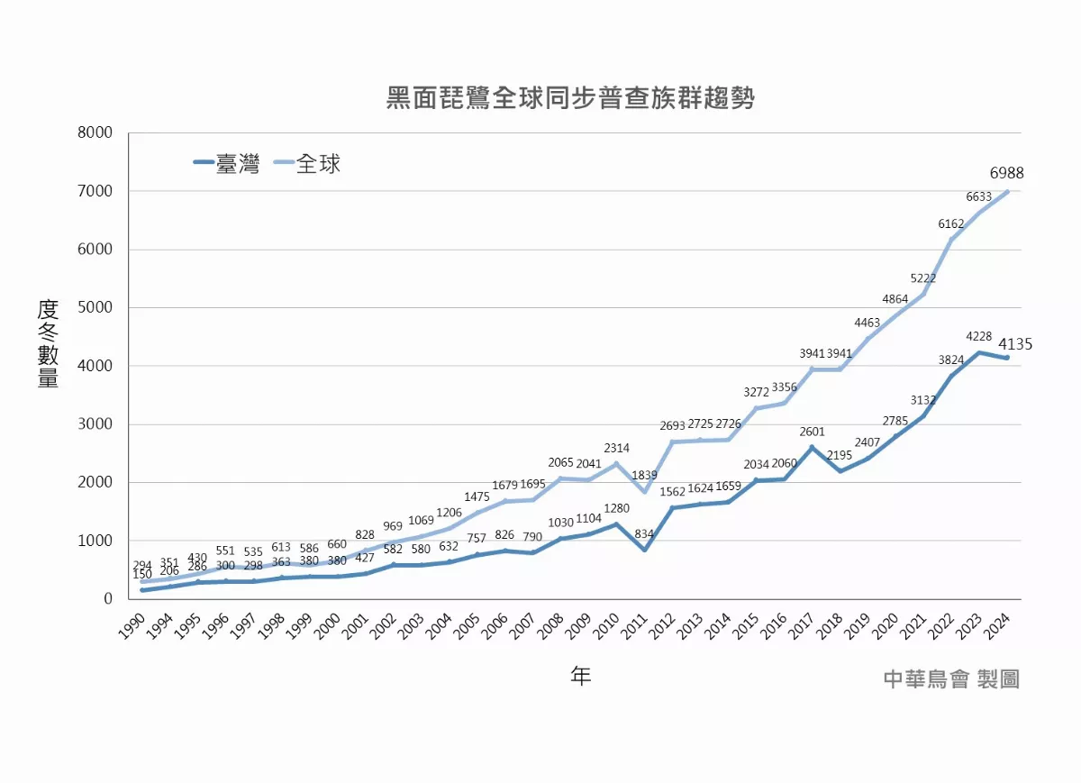 黑面琵鷺全球普查 台灣是最受歡迎度冬勝地