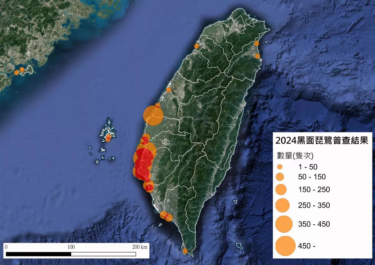 黑面琵鷺全球普查 台灣是最受歡迎度冬勝地