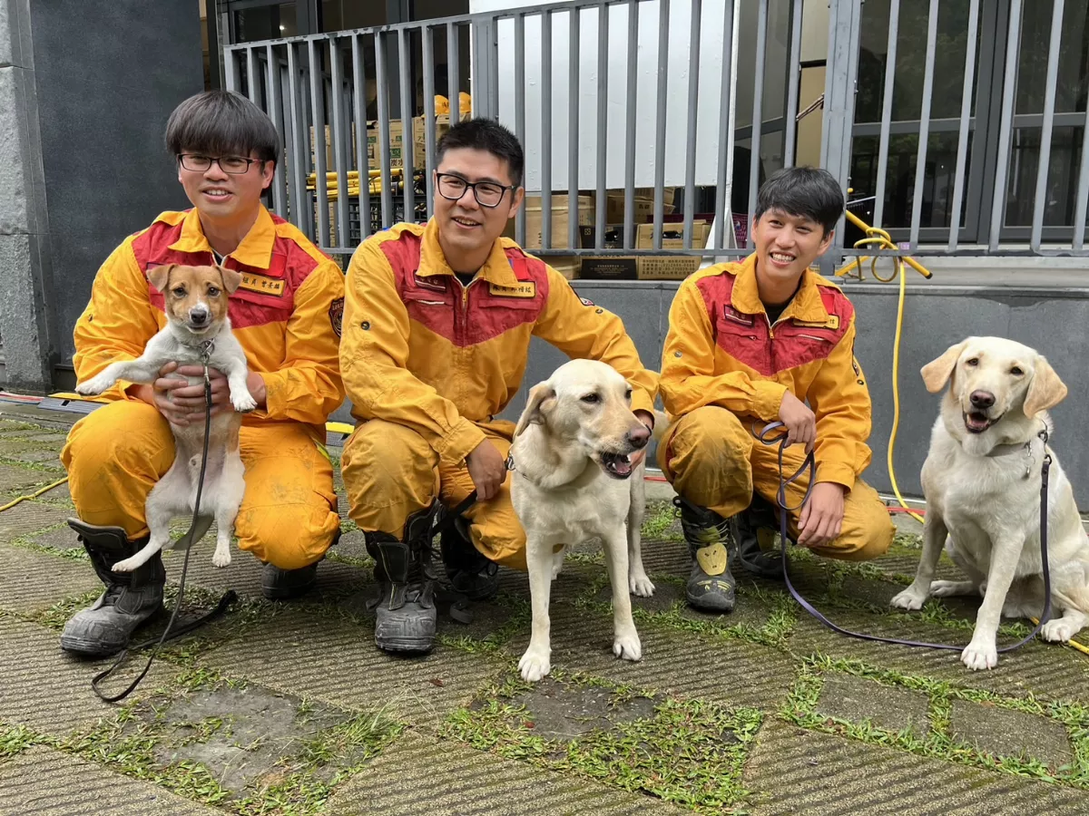 搜救犬也是地震受災戶  犬舍被貼黃單待搬新家