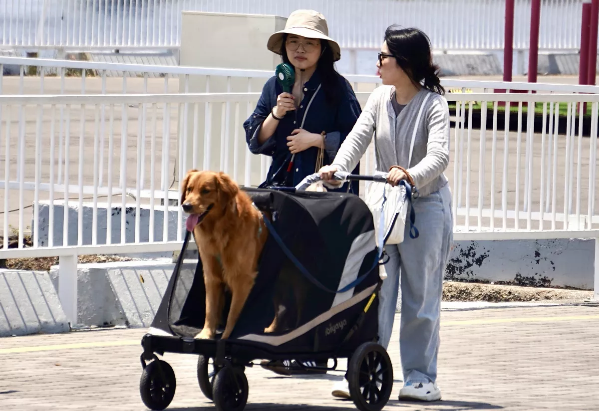 今各地天氣溫暖穩定 立夏水氣增多