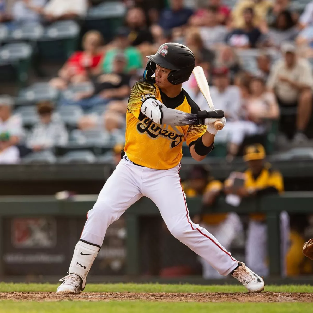 MiLB／鄭宗哲猛打新高3打點 林振瑋5月首戰好投